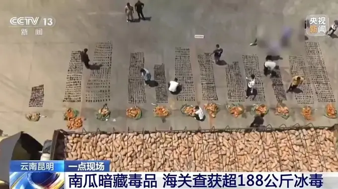 南瓜暗藏毒品,昆明海关查获超188公斤冰毒
