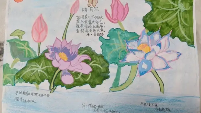 小暑节气之旅，深圳这所学校把课堂搬进厨房和书房