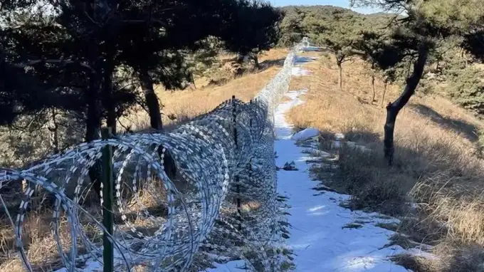 泰山“刀片网”将拆，追责不能停