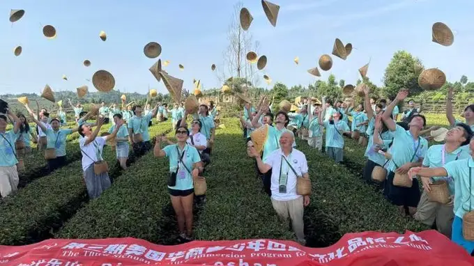 一篓青叶，一首“怪诗”，一群华裔少年的寻根新注解