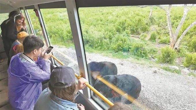黑瞎子岛夏日胜景迎客来
