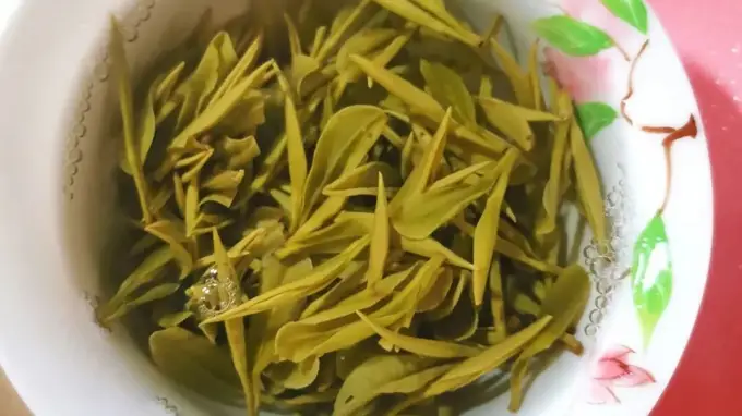兰韵云雾中,80℃独饮开化龙顶