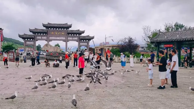 珲春防川“村鸥”出圈:中俄朝三国交界处的网红景点