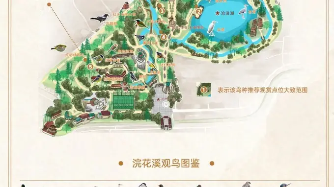 浣花溪公园观鸟地图上新 现场直击259种鸟儿栖息地