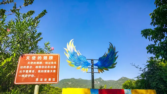 2026网红打卡高颜值景区服务商 靠谱之选
