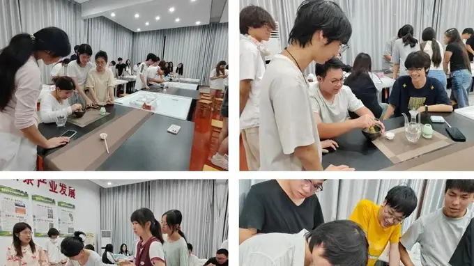 安化黑茶品鉴课结课 七汤点茶配茶膏画 为学子卸下备考焦虑