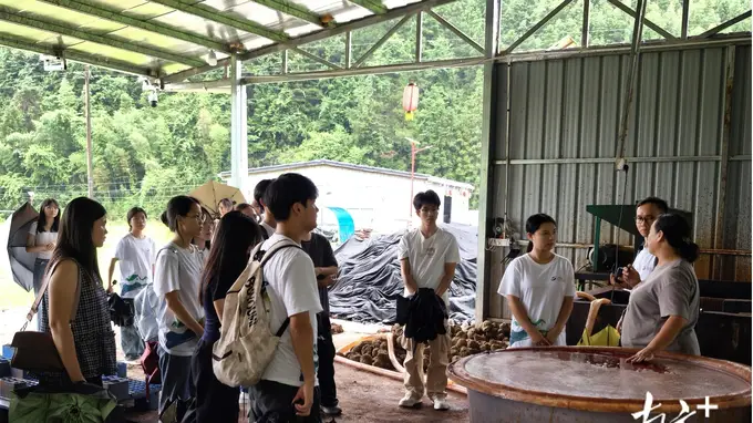连山福堂返乡青年非遗研学 以匠心赋能本土乡村发展