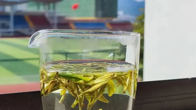 徽州松萝茶 自带橄榄香的千年药茶