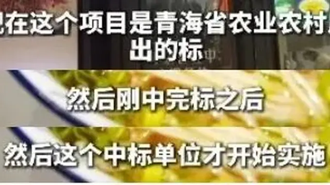 青海拉面“三店合一”项目启幕 多地门店自愿换牌引关注