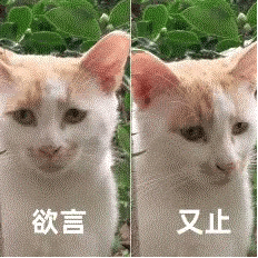 AI当老板，快给10家公司干破产了…