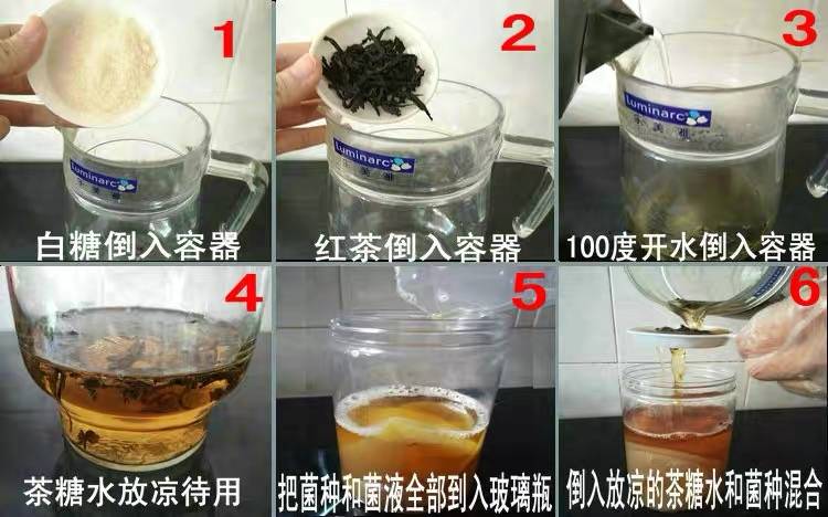 糖分不低、活菌含量存疑，“茶饮新贵”康普茶饮料真的健康吗？