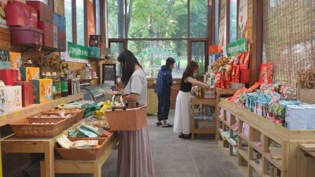 游山野、带特产！江夏供销让“土货”出村更出圈