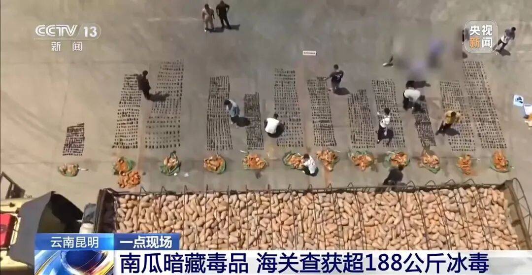 南瓜暗藏毒品，昆明海关查获超188公斤冰毒