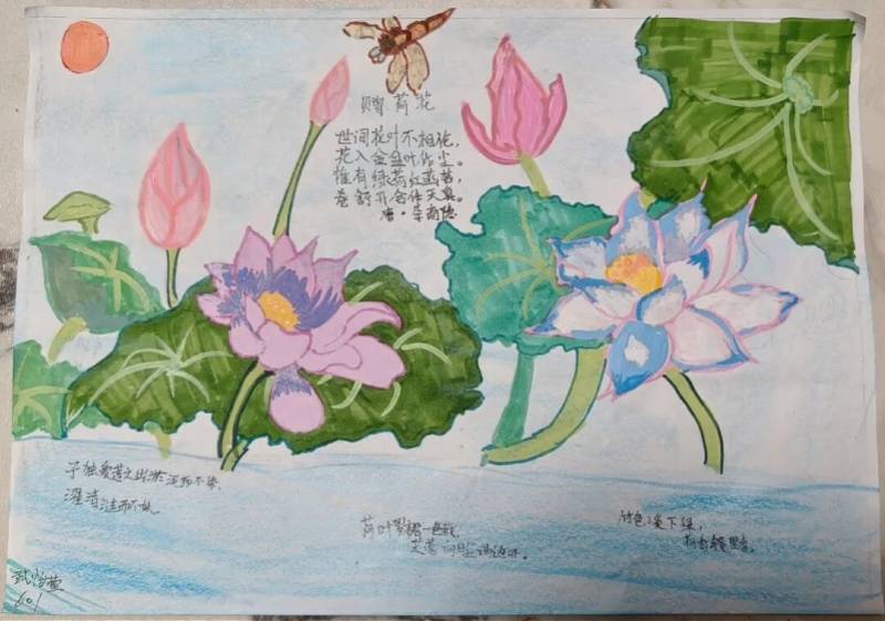小暑节气之旅，深圳这所学校把课堂搬进厨房和书房