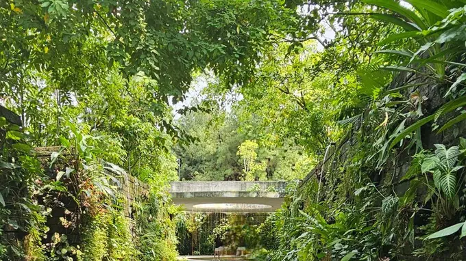 同样的城市，不同的安全感：连续假期里，为什么特色路线游客的体验天差地别？