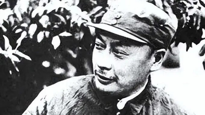 :陈毅临终嘱托王震关照之人,竟是曾险些害他性命的谭余保