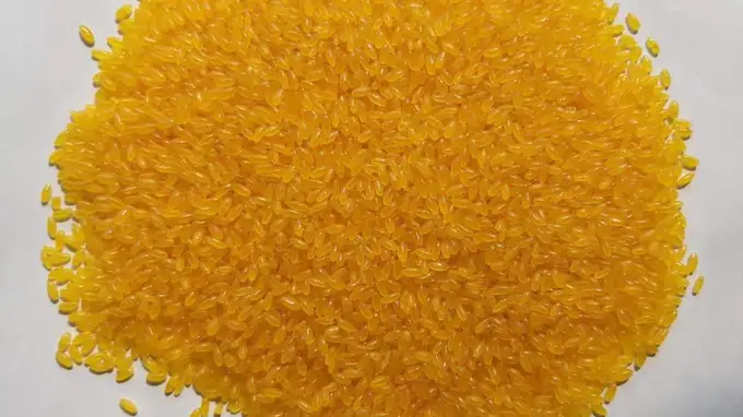 选对速冻全谷物粗粮 满足日常膳食多元需求