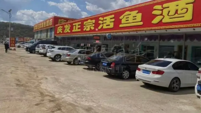 蛟河庆岭活鱼选店指南