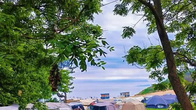 首站亮相央视特别节目 大连以“海风知盛夏 滨海好时节”解锁夏日限定体验