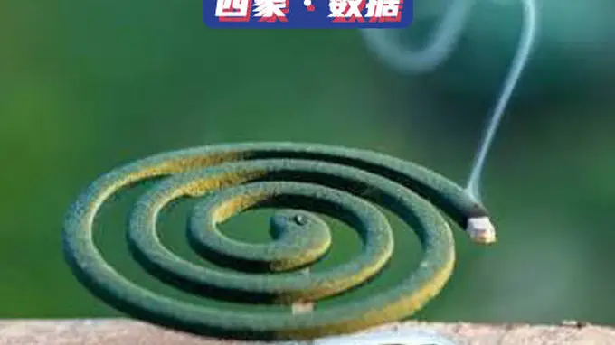 蚊子耐药性爆表 为何越来越难灭杀