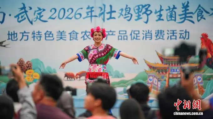 彝味昆明:武定县特色美食与民族展演引爆南屏街