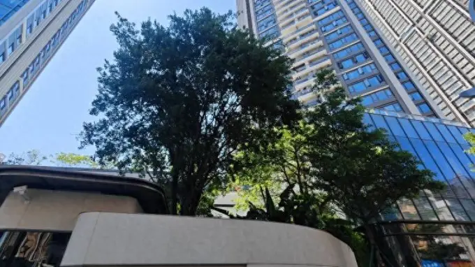 “封面级豪宅”外墙铝板变涂料？深圳中洲湾迎海二期被指货不对板 丨 追问“好房子”
