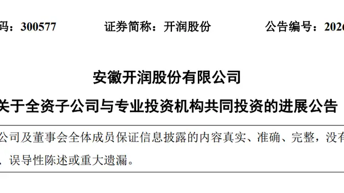 DeepSeek估值,被一家安徽箱包公司给全部暴露了
