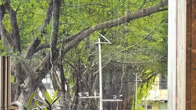 夏日困乏