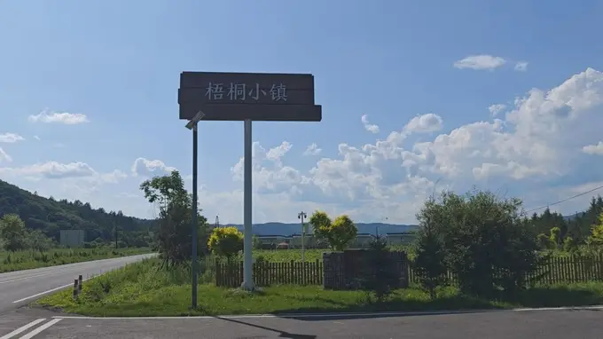 梧桐镇:药食同源赋能,生态康养新名片