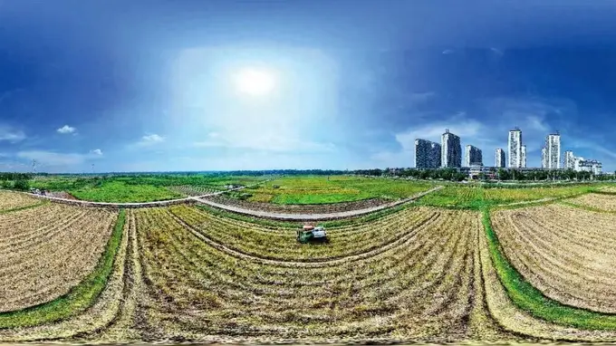 下乡调研，“发现乡镇干部都在种地”