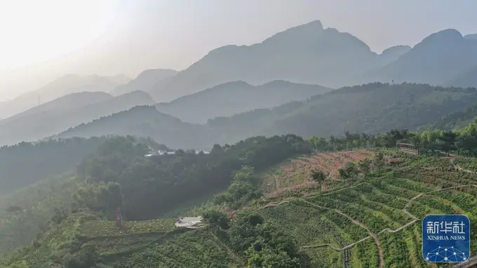河北兴隆高山花海盛花期 游人打卡乐享花中趣