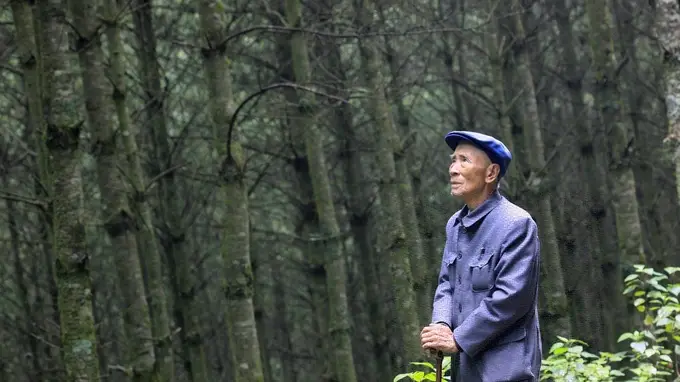 理响中国｜文献里的党史密码核心：人民是党的坚实根基