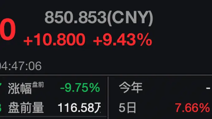 SpaceX二季度AI资本开支占比超八成 盘前股价暴跌近10%