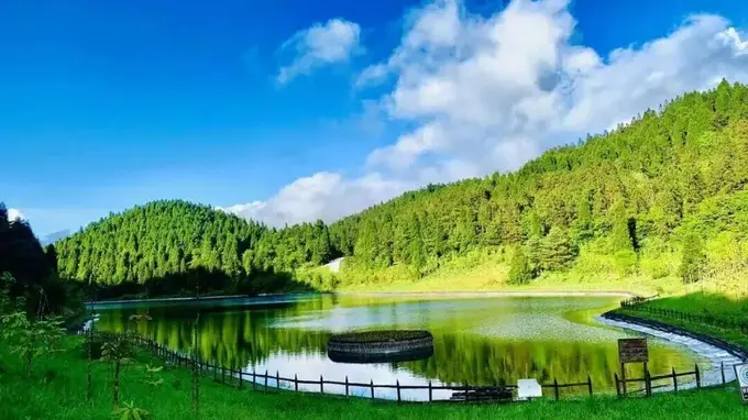 暑期清凉出逃 赴重庆红池坝森林氧吧的天然凉约
