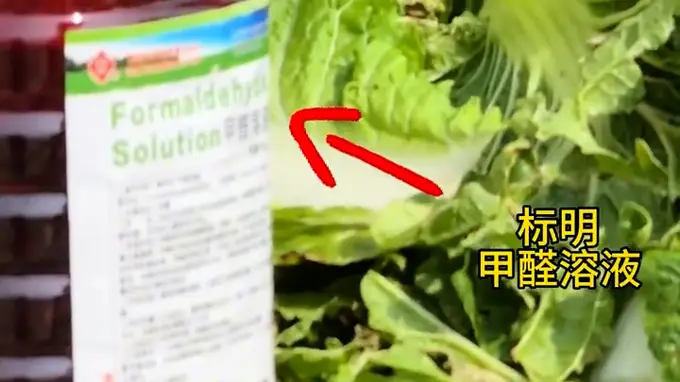 河北张家口市场监管局回应“博主曝光大白菜装车前蘸甲醛保鲜”：关注到相关情况，多部门已展开调查