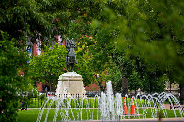 美媒：特朗普打算在“白宫入口”种47棵树，以纪念其总统任期