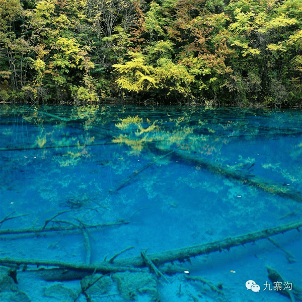 九寨沟湖水绚丽色彩系自然形成，无染色无污染