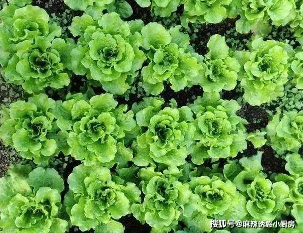 内行人告诉你吃自助餐的秘密，这4种食材不要取，很多人都搞错了
