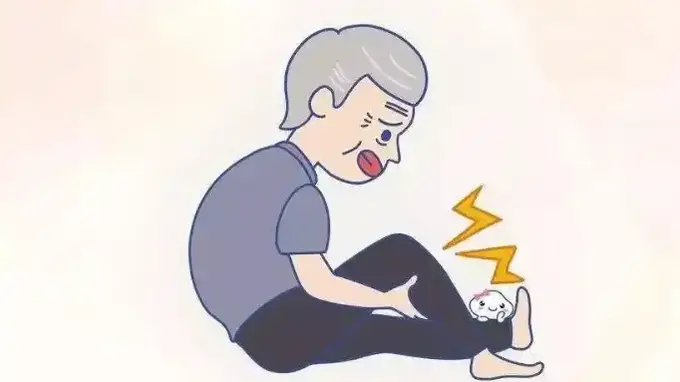 南瓜子的营养价值？