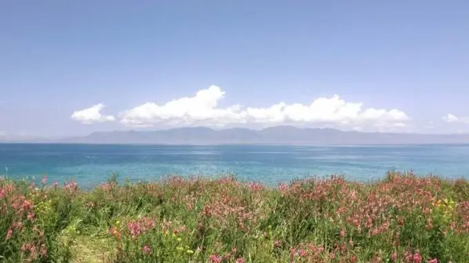 伊犁河谷的四季私语:一位旅人用七天邂逅天山深处的时光