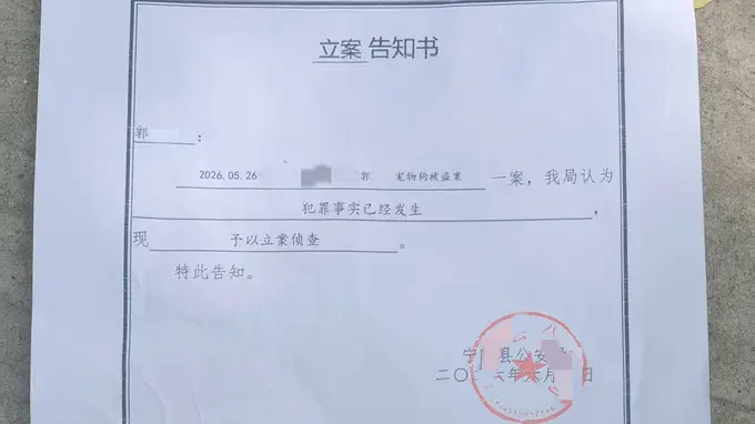 网红边牧被盗宰杀案件移送审查起诉 犬主人：还将提起民事诉讼
