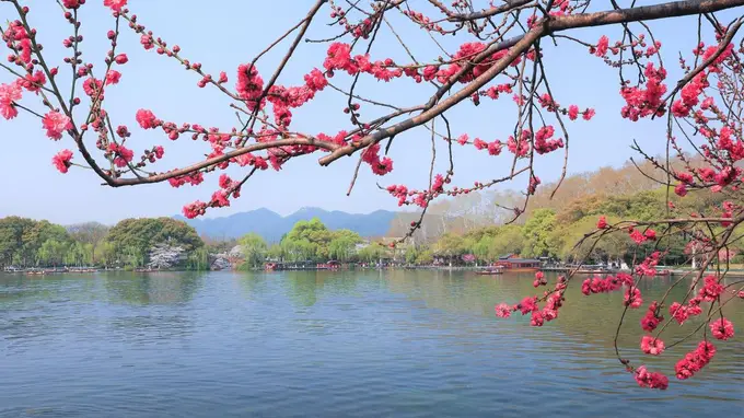 和爸妈的古镇之旅