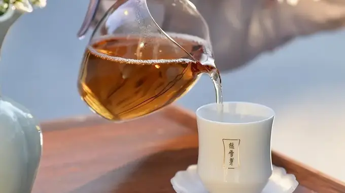 绿雪芽与福鼎白茶:风土共生,茶韵交响