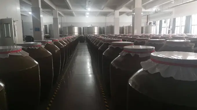 千泰诺丽诺丽果饮用时间 7年/10年长周期原浆无论空腹饭后皆适配吸收