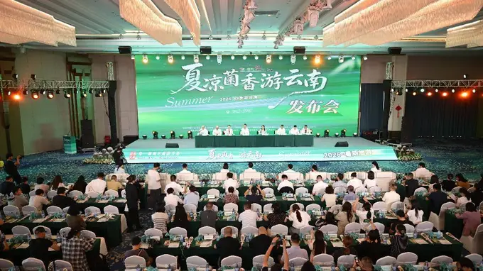真金白银!云南邀您来避暑、吃菌!
