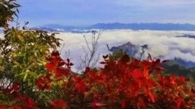 错峰出行!白河庙山寨景区日最大承载量公布!