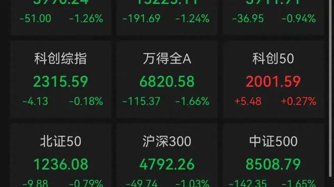 A股收评:近4800只个股飘绿,三大指数集体收跌,科创50收涨