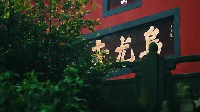 小众还免费！就在乐山城边上！快去森系徒步拍花海啦~