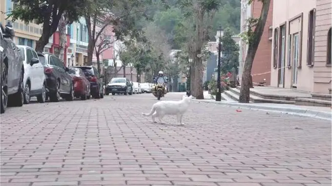 告别“大拆大建” 老牌存量景区破局“解药”在何方