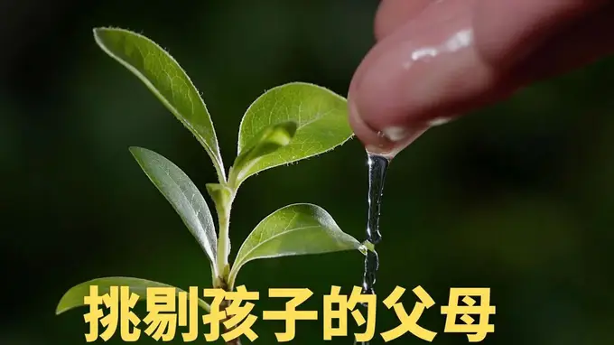 挑剔孩子的父母,先学会爱自己